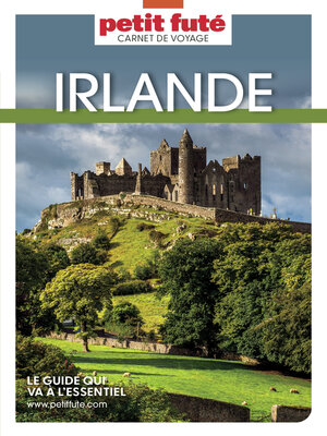 cover image of IRLANDE 2024 Carnet Petit Futé